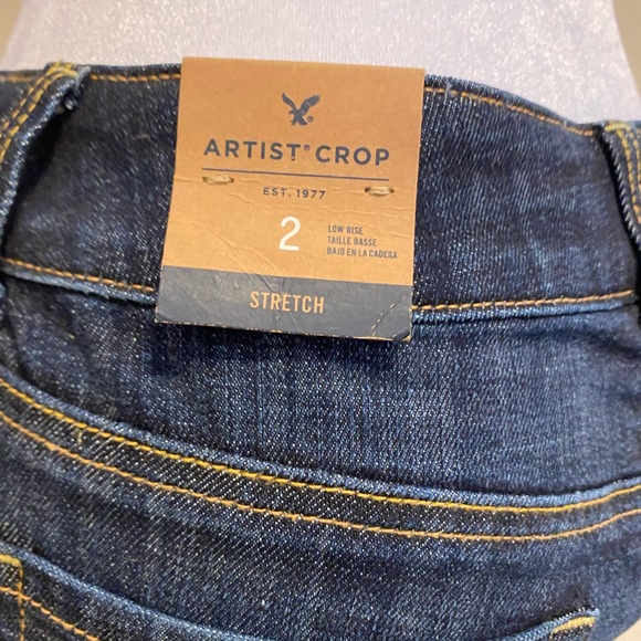 American Eagle Artist Crop - Picture 5 of 9